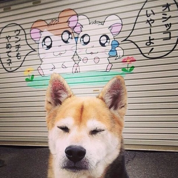 爱游戏体育官方入口-意甲逆转，球员讲述赛前战术布置与临场应变手段，意甲冲刺速度